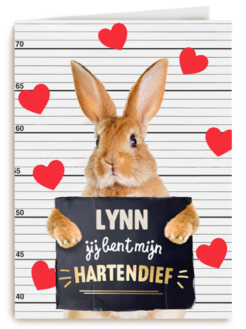 valentijn kaart konijn grappig jij bent mijn hartendief