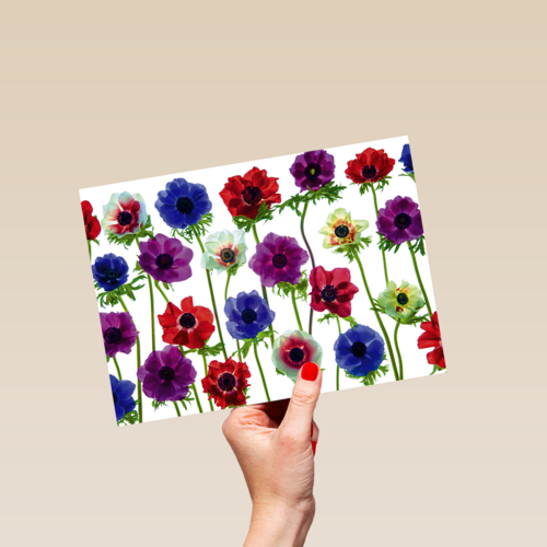 Chromazone Fleurige bloemen