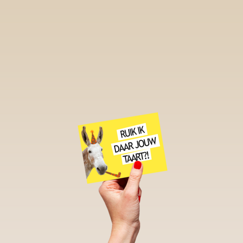 ruik ik daar jouw taart paard met feesthoed