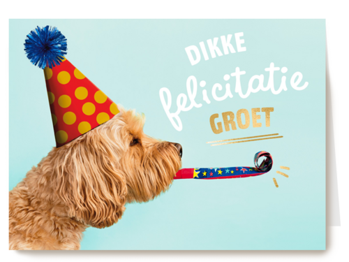 hond met feesthoedje dikke felicitatiegroet kaart