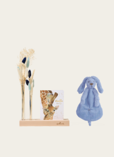 Brievenbuspakket Droogbloemen Baby Boy Blauw Met Knuffeldoekje