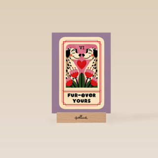 Folio Fur Ever Yours