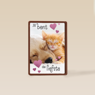 Valentijn Jij bent de liefste hond kat