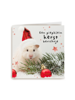 kerstkaart klassiek een piepklein kerst berichtje