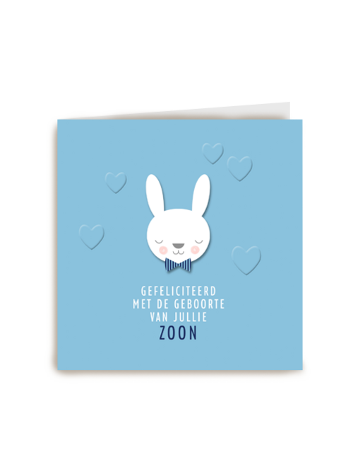 geboorte felicitatie kaart zoon blauw konijn