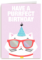 Verjaardagskaart tiener meisje Have a purrfect birthday
