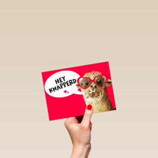 valentijnskaart grappig hey knapperd lama