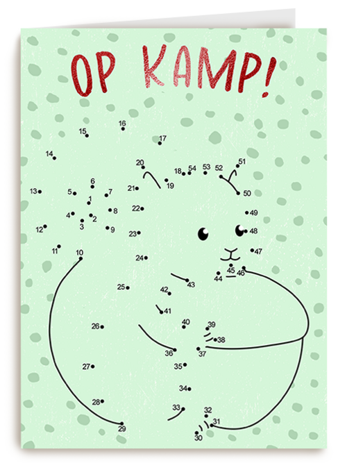 Op Kamp Puzzel kaart