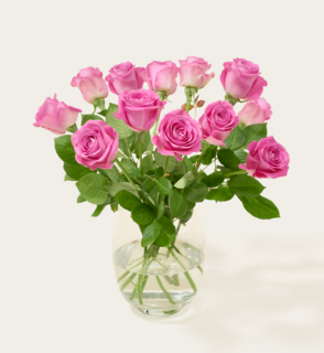 Brievenbusbloemen Roze Rozen