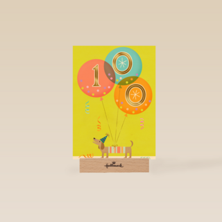 Ballonnen 100 jaar