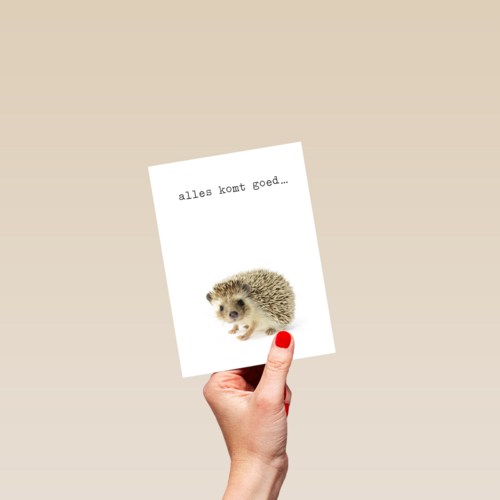 Sterkte kaart Furry Cuddles egeltje