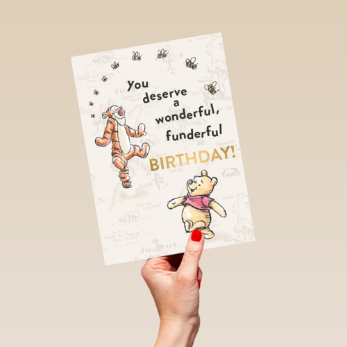 Winnie en Tijgertje wonderful birthday