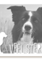 fotokaart veel sterkte verlies huisdier hond