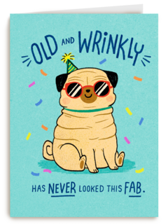 verjaardag kaart grappig old and wrinkly has never looked this fab