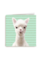 Blanco kaart alpaca