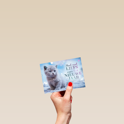 nieuwjaar kaart kat heel veel liefs voor het nieuwe jaar