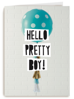geboorte zoon hello pretty boy