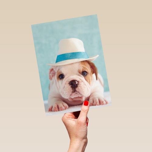 hond met hoed op