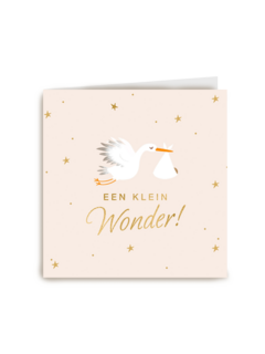 Babykaart zoon dochter kleinkind Een klein wonder