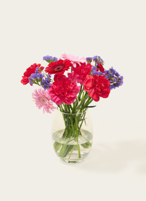 Brievenbusbloemen Roze Paars Mix Cadeau Bloemen En Planten |