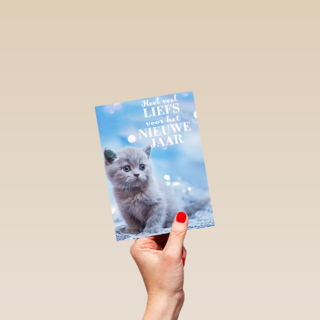 veel liefs voor het nieuwe jaar met deze kitten