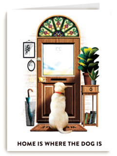 Home is where the dog is