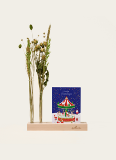 Brievenbuspakket Droogbloemen Kaarthouder Flowershot Kerst