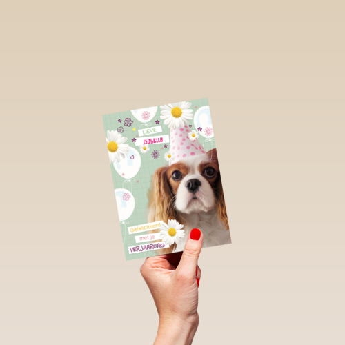 prodo dieren lieve gefeliciteerd met je verjaardag