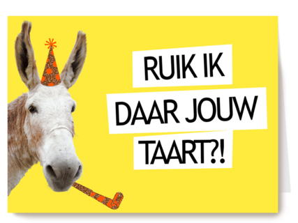 ruik ik daar jouw taart paard met feesthoed