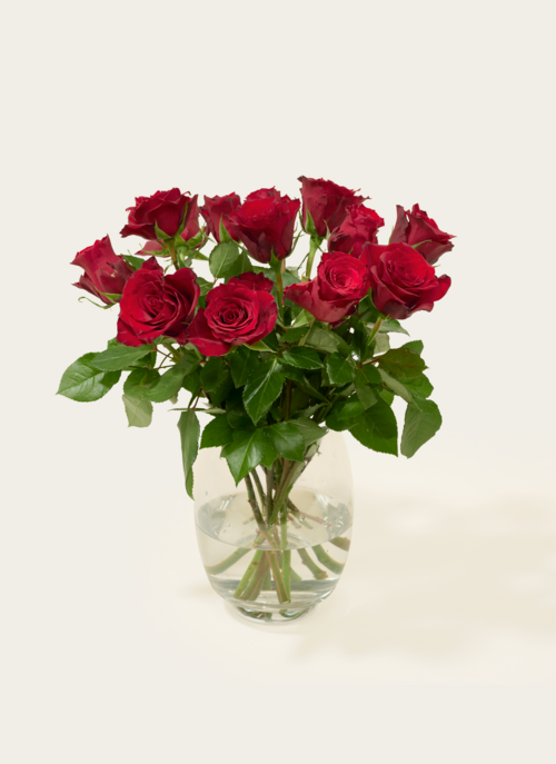 Brievenbusbloemen Rozen Rood Cadeau Bloemen En Planten |