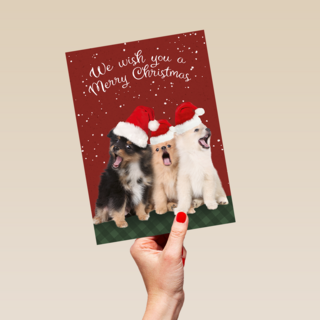 Kerstmis Honden Met Kerstmuts