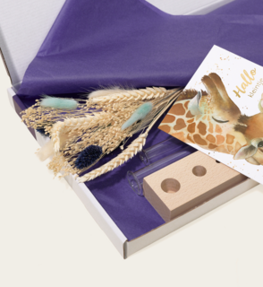 Brievenbuspakket Droogbloemen Baby Boy Blauw