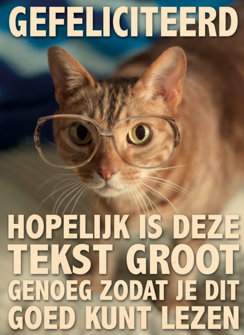 verjaardag vrouw grappig tekst groot genoeg kaart