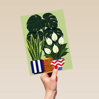 Nieuw Huis Planten