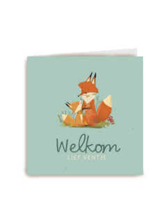 Geboorte felicitatie met vos Welkom lief ventje