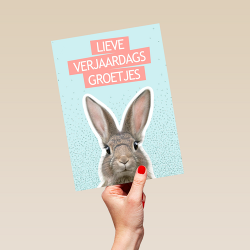 een konijntje voor je verjaardag