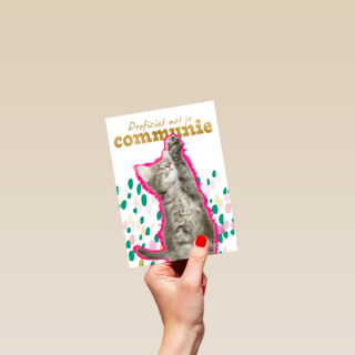 Proficiat met je communie kat