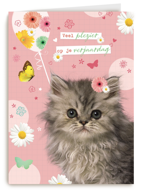 prodo dieren veel plezier op je verjaardag