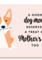 A good dog mom deserves a treat on Mothers Day too