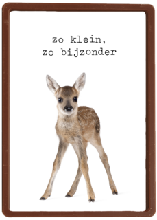 Een furry cuddles kaart zo klein zo bijzonder hert