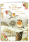 Marjolein Bastin Kerstdagen Vogels