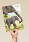 baby olifant