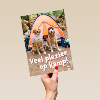 Op kamp kaart 2 honden bij tent
