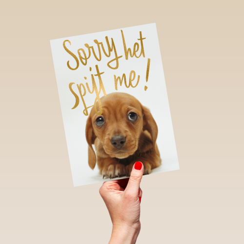 verjaardag te laat sorry het spijt me puppy