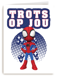 Complimentkaart Spiderman trots op jou