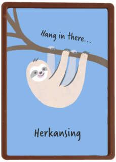 Geslaagd Hang in there herkansing