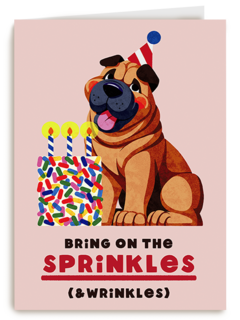 Verjaardag Sprinkles And Wrinkles