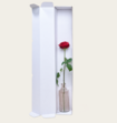 Single Roos Rood Met Vaas en Ayurveda Foam