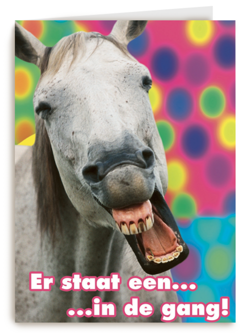 paard gang carnaval