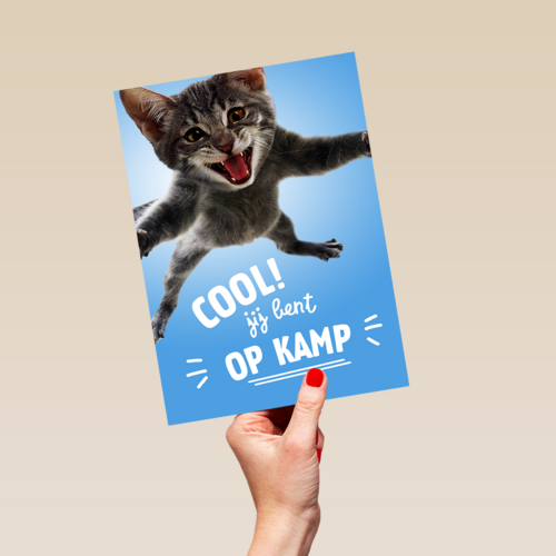 Cool Jij Bent Op Kamp Kat